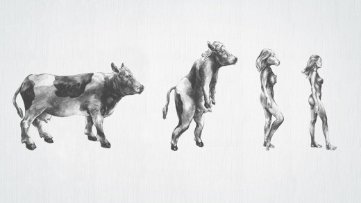 539564 (a): :1920x1080